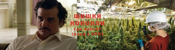 гидропоника Бронницы