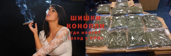 тгк Бородино