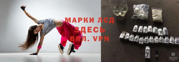тгк Бородино