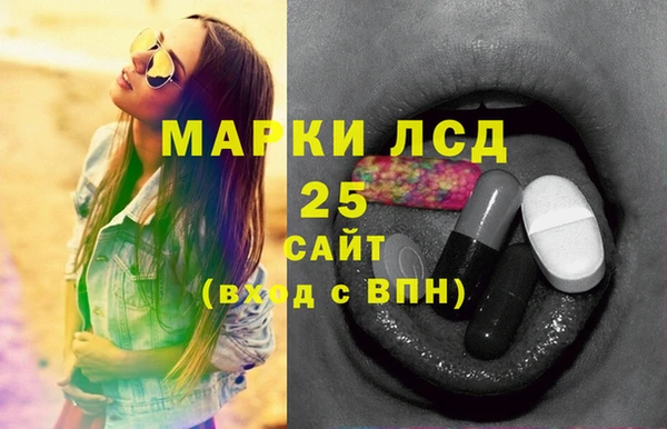 тгк Бородино