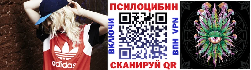Псилоцибиновые грибы Psilocybine cubensis  Купить где  Красноармейск 