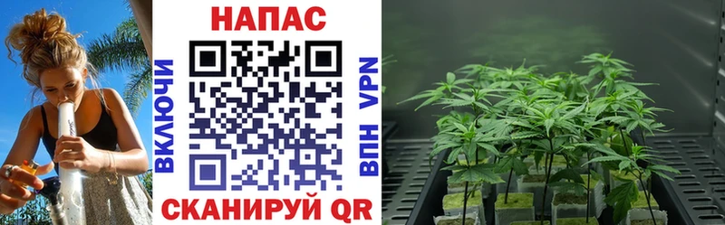 Шишки марихуана Ganja  Купить где  Красноармейск 